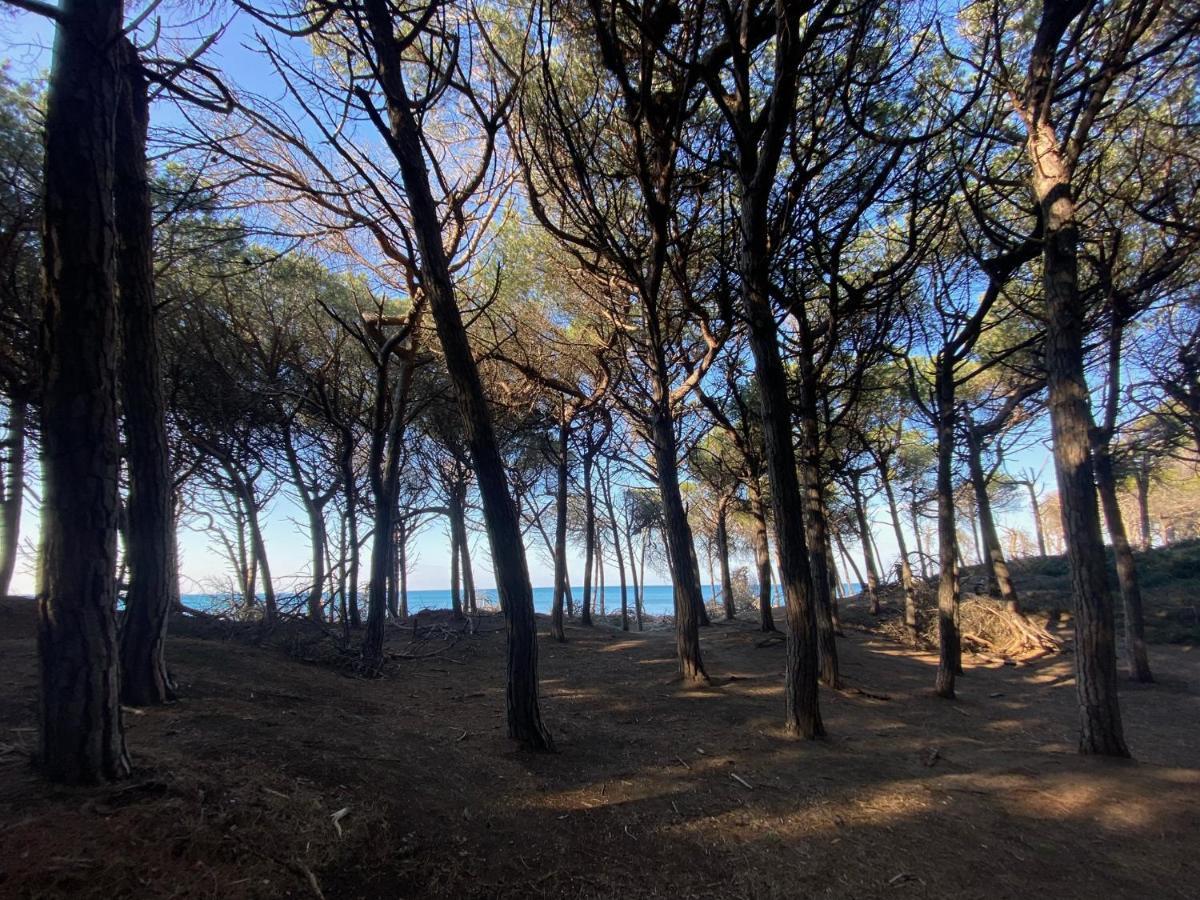 Appartamento Acquamarina Marina di Cecina Exterior foto